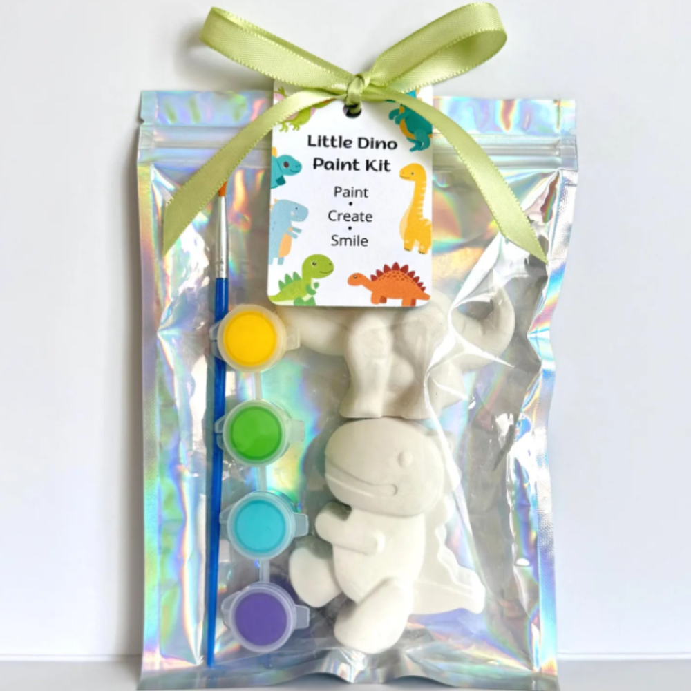 Dinosaur Paint Kit - McDonald Publishing House