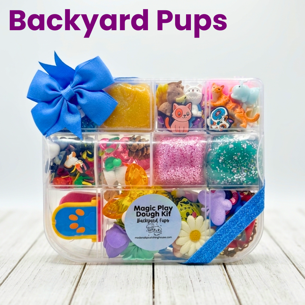 Magic Play Dough Kits - McDonald Publishing House