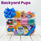 Magic Play Dough Kits - McDonald Publishing House