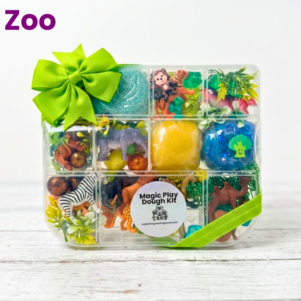 Magic Play Dough Kits - McDonald Publishing House