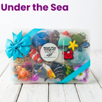 Magic Play Dough Kits - McDonald Publishing House