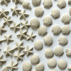 Mermaid & Seashell Paint Kit - McDonald Publishing House