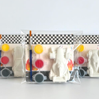 Race Car Paint Kit