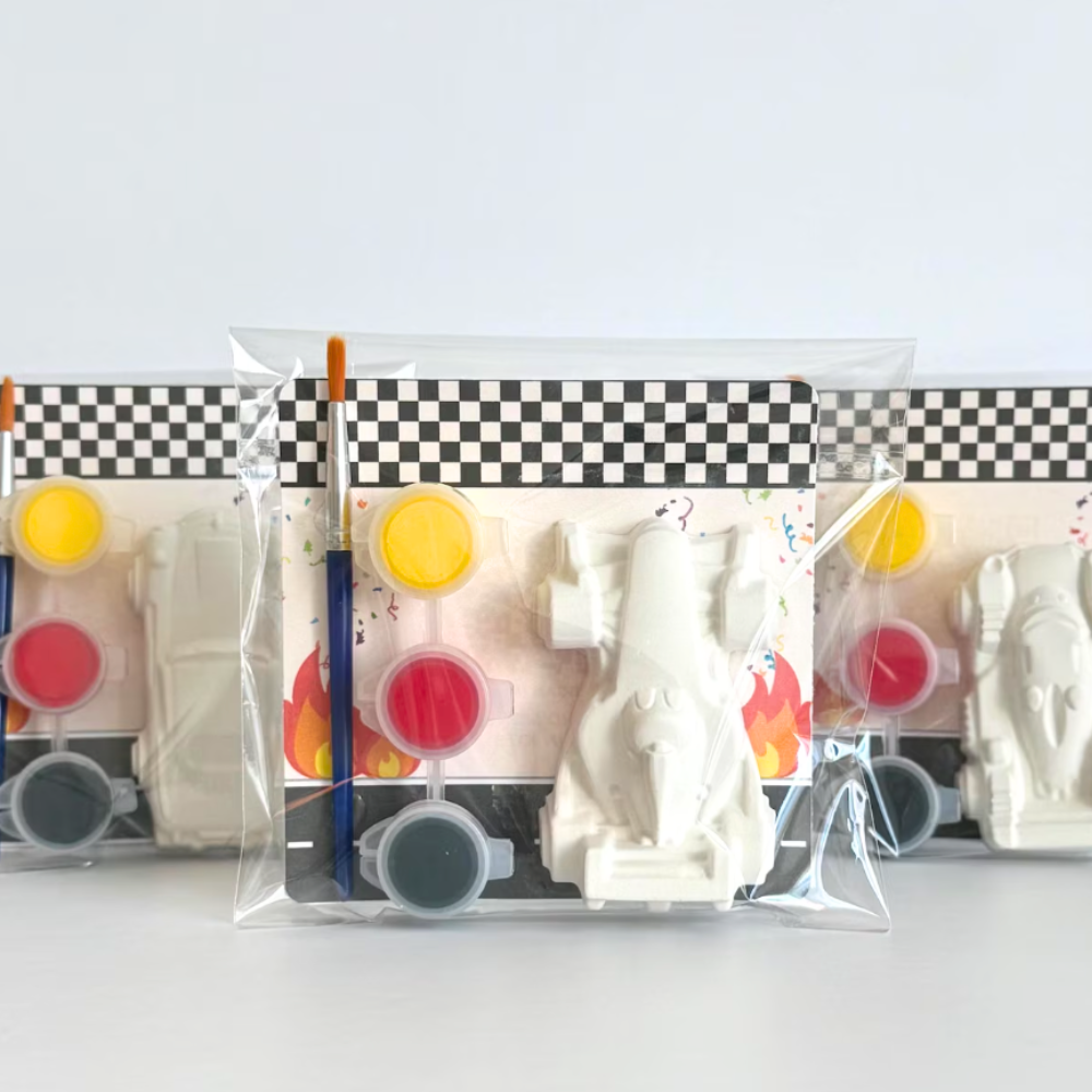 Race Car Paint Kit