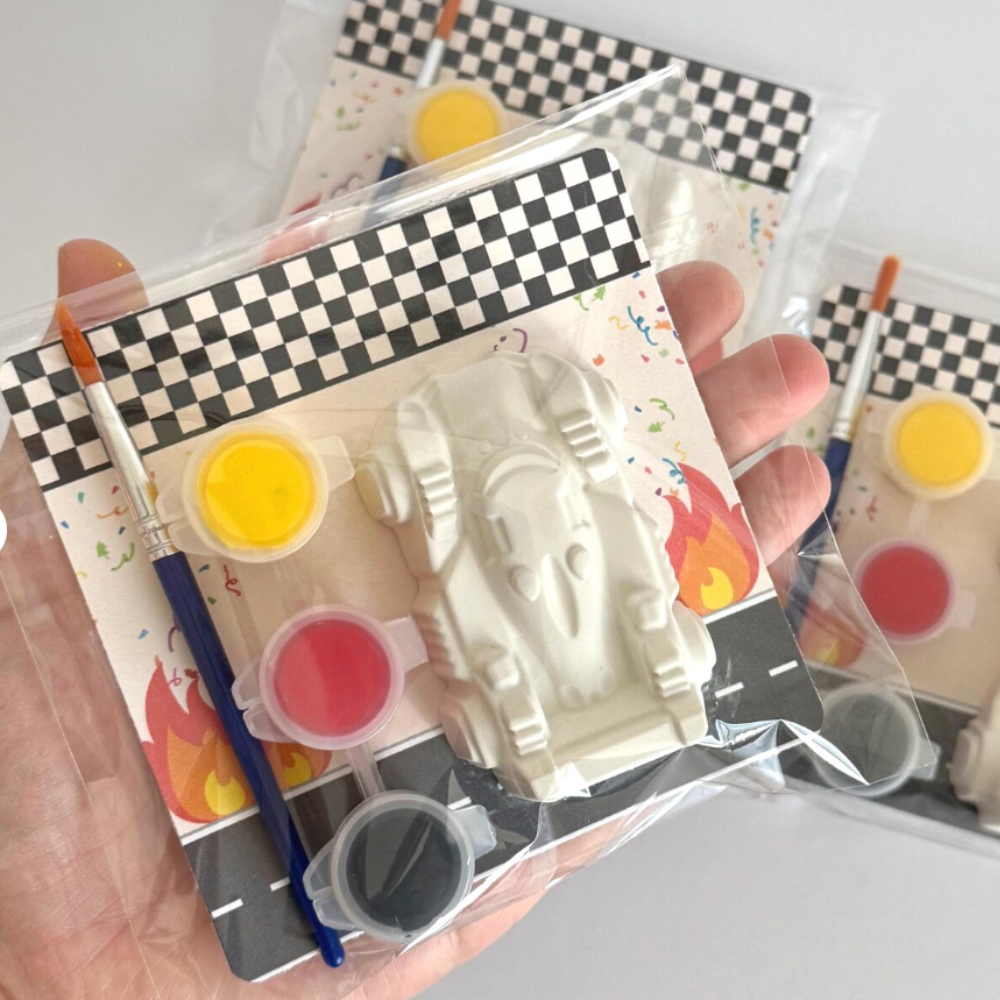 Race Car Paint Kit