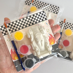 Race Car Paint Kit